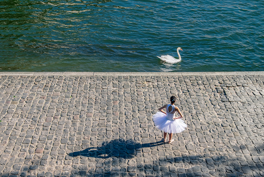 The Swan and the Ballerina